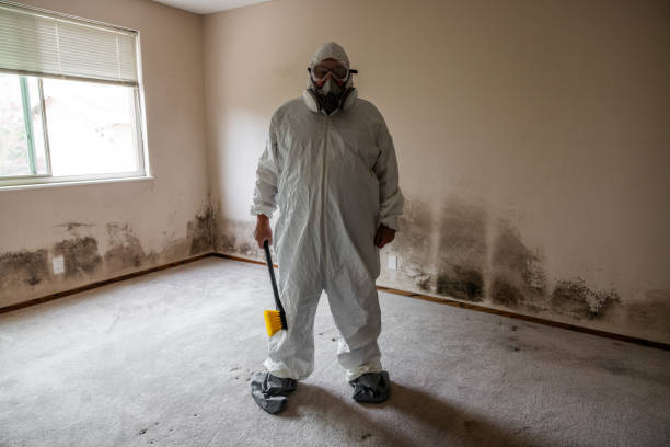 Best HVAC Mold Remediation in Inman, SC